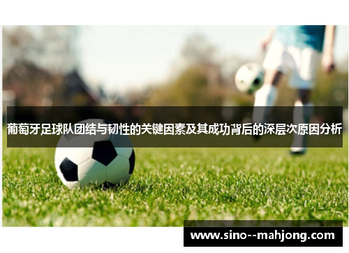 葡萄牙足球队团结与韧性的关键因素及其成功背后的深层次原因分析